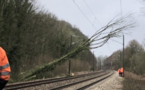 Les passagers d’un train bloqués plus de 8 heures en rase campagne en Seine-Maritime ! 