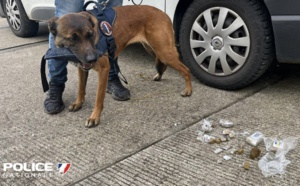 Un point de deal démantelé à Rouen : 300 g de résine de cannabis découverts 