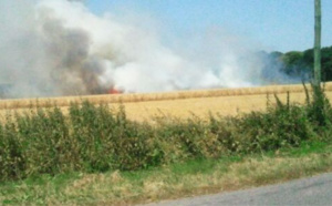 Sécheresse : 220 ha de récoltes, de sous-bois et de chaume détruits par le feu en 2 jours dans l'Eure