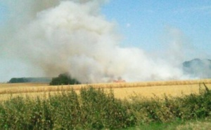 Dans l'Eure, les pompiers toujours mobilisés sur les feux de récoltes 