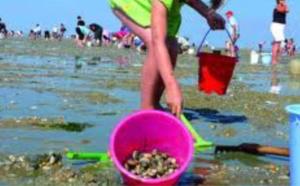 Le ramassage des coquillages interdit en Seine-Maritime entre le cap d'Antifer et Veulettes