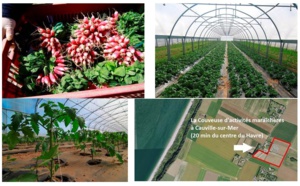 Le Havre : appel à candidatures pour la couveuse d’activités maraîchères