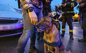 Rouen et Petit-Quevilly : deux mineurs en fugue retrouvés et stupéfiants saisis lors d’opérations anti-drogue