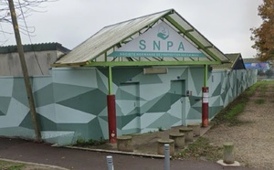 À Rouen, un jeune couple placé en garde à vue pour maltraitance animale 