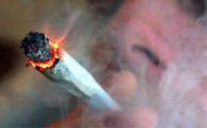 Le Trait : deux fumeurs de joints trahis par l'odeur de cannabis lors d'un contrôle de gendarmerie