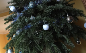 Au Havre, les sapins de Noël finissent en compost 