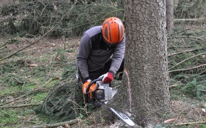 Un homme grièvement blessé, écrasé par l’arbre qu’il tronçonnait à Pullay, dans l’Eure
