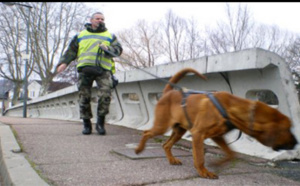 Seine-Maritime : en situation irrégulière, un voleur de métaux trahi par sa voiture 