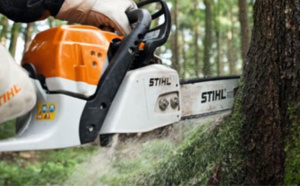 Plusieurs tronçonneuses dérobées chez un spécialiste du jardinage à Gaillon 