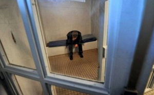 Déville-lès-Rouen : il tente de défoncer le portail avec sa voiture pour rejoindre son ex-compagne 