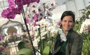 Eure : les orchidées sortent le grand jeu au château de Vascoeuil !