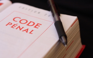 Affaire du cerf de Luc Besson : l’association Stéphane Lamart fustige « des réquisitions trop faibles face à la cruauté des faits »