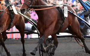 Calavados : un parieur décroche 335 999 € au Quinté+ spOt à Blainville-sur-Orne 