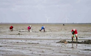 Grandes marées : vigilance renforcée sur tout le littoral normand du 2 au 5 février 