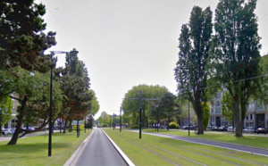 Au Havre, un peuplier de 30 mètres s'abat sur les voies du tramway : trafic coupé durant 5 h