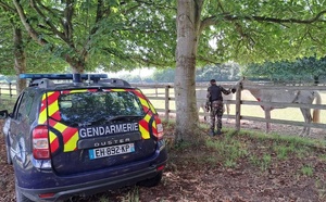Chevaux tués et mutilés en Seine-Maritime : l’affaire rejugée en appel, à Rouen