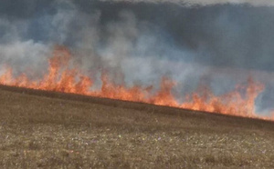 Incendie : 15 000 m² de végétation ravagés par les flammes ce soir à Petit-Couronne