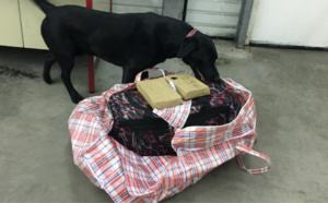 Près de 60 kg de cocaïne saisis dans un chargement de crèmes glacées par la douane de Calais 