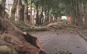Tempête dans l’Eure : les Andelys durement touchés, la mairie ouvre une ligne dédiée