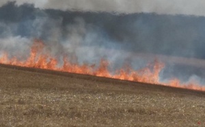 Seine-Maritime : neuf hectares brûlés dans trois feux de champs, deux agriculteurs blessés