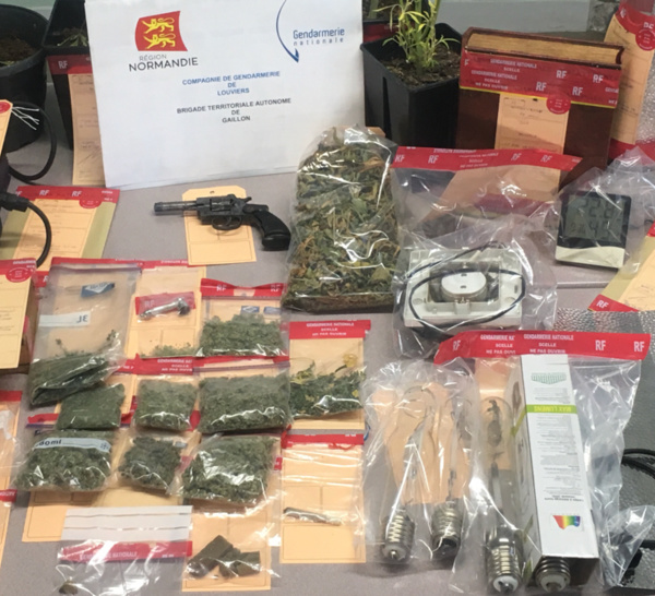 Eure : des stupéfiants et une arme découverts au domicile d'un producteur de cannabis