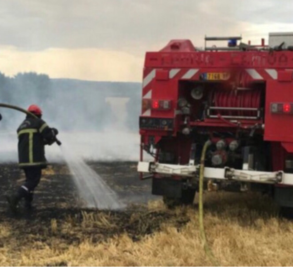 Seine-Maritime : quatre hectares de chaume partis en fumée à Vibeuf