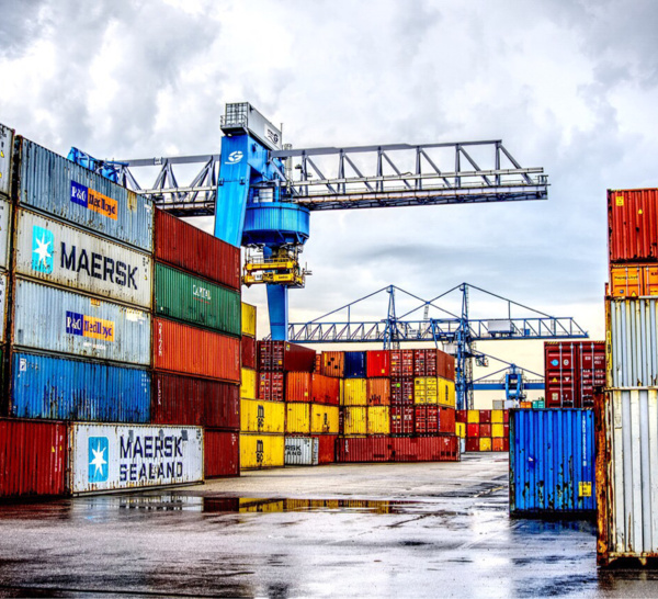 Plus de 750 kg de cocaïne saisis par la douane dans un conteneur sur le port du Havre 
