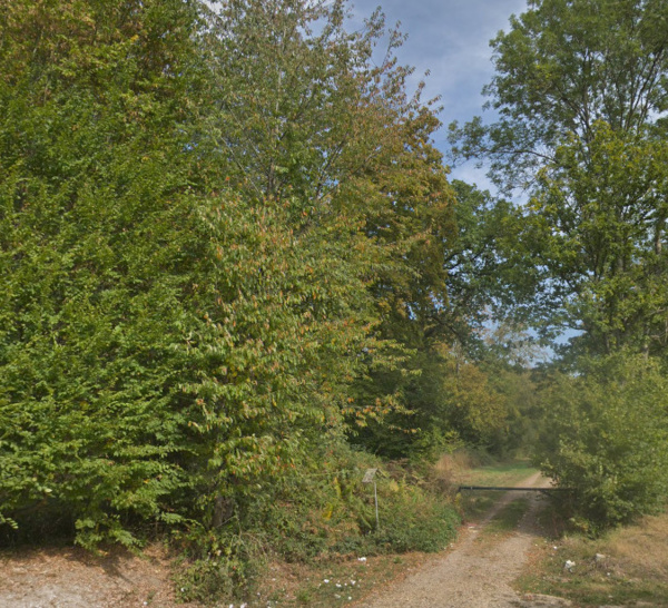 Eure : un homme décède d’un arrêt cardiaque en forêt de Bord-Louviers
