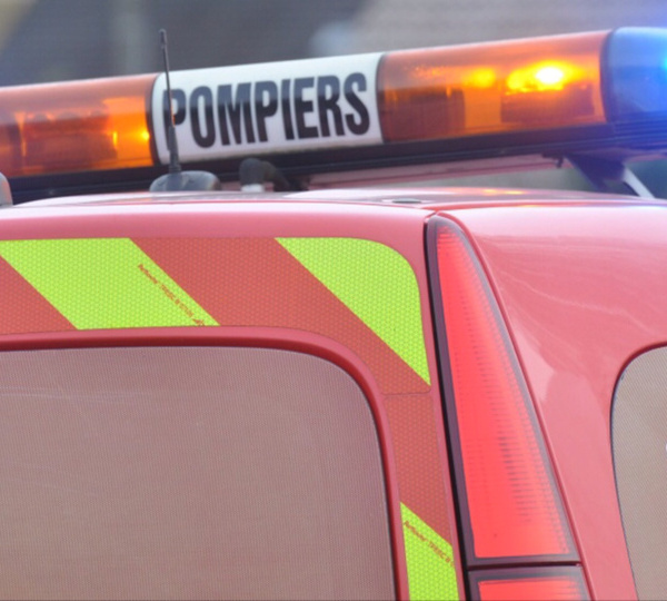 Seine-Maritime : un chien blessé après une chute de trois étages à Dieppe 