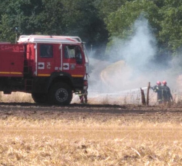 Saint-Aubin-d’Escroville : un feu de chaume ravage 4 hectares près du Neubourg (Eure)