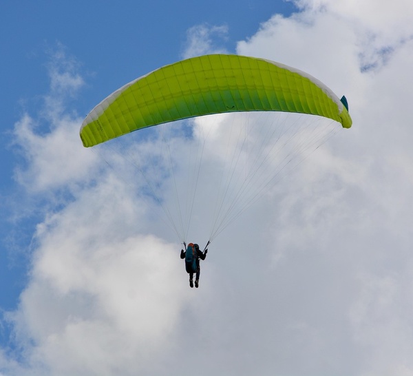 Un parapentiste chute de 20 mètres et reste suspendu dans un arbre au Marais-Vernier (Eure)