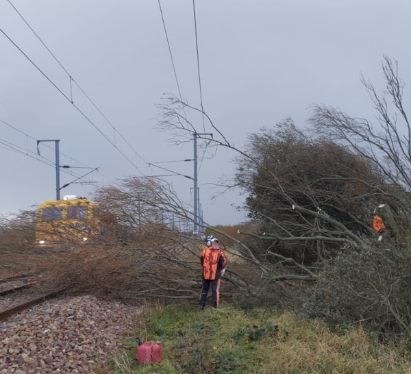 Un arbre tombé sur les voies et heurté par un train perturbe la ligne Rouen–Dieppe