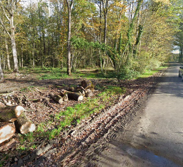 Eure. L’intervention d’un chasseur sauve un quinquagénaire après un accident de buggy dans un bois