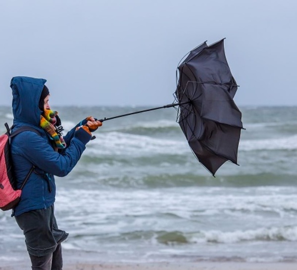 Tempête Goretti : des rafales de vent de plus de 110 km/h en Seine-Maritime et dans l'Eure