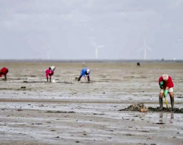 Grandes marées : vigilance renforcée sur tout le littoral normand du 2 au 5 février 