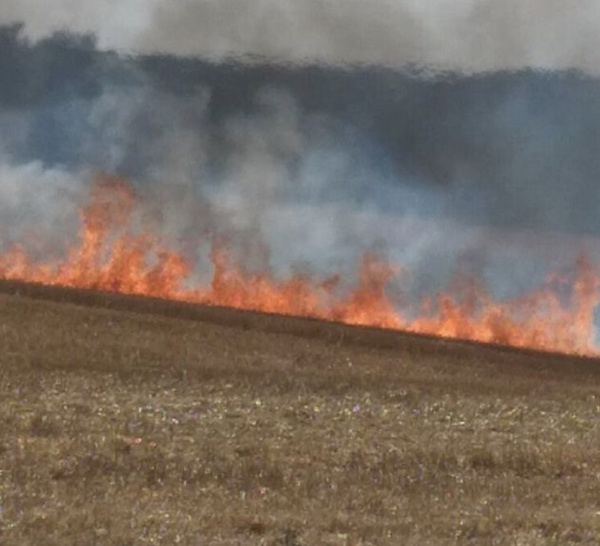 Incendie : 15 000 m² de végétation ravagés par les flammes ce soir à Petit-Couronne