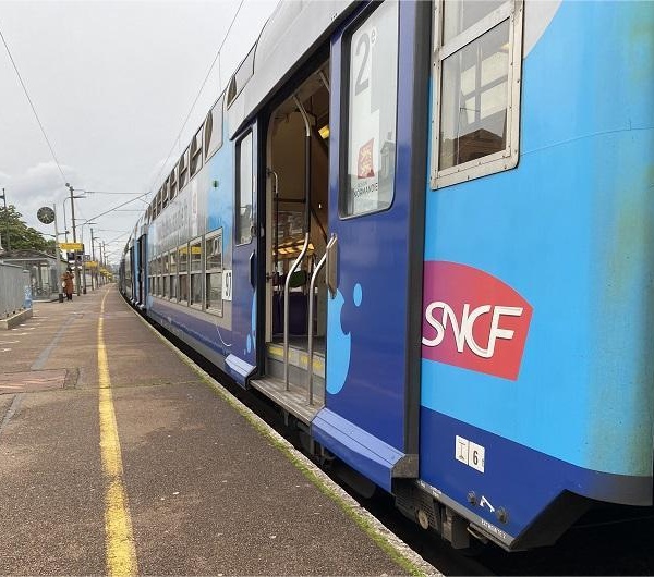 Harfleur : un arbre tombe sur les caténaires, le trafic SNCF interrompu sur la ligne Paris – Le Havre