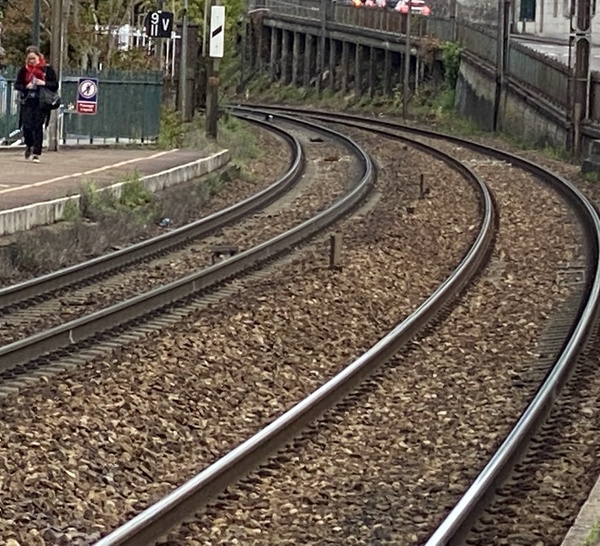 Accident de personne à Rosny-sur-Seine : trafic ferroviaire interrompu entre Paris et la Normandie