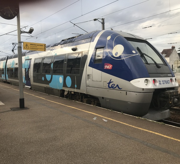 Trafic ferroviaire perturbé entre Rouen et Yvetot après un heurt d’animal à Maromme