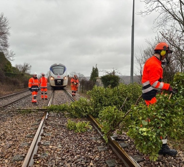 Ligne Rouen-Dieppe : la circulation des trains reste perturbée, reprise estimée à 14 heures