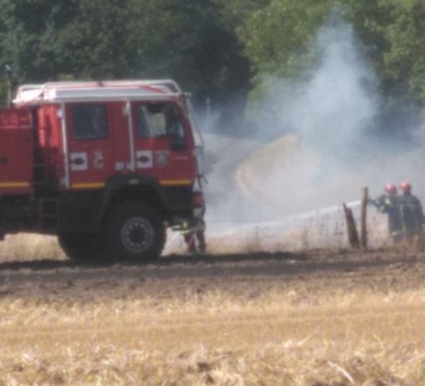 Eure : Quatre hectares de culture détruits par un incendie à Vesly