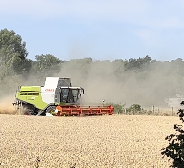 Seine-Maritime : feu de moissonneuse-batteuse à Croixdalle, 7,5 hectares de blé détruits 