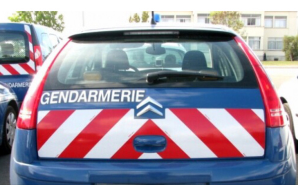 Accident mortel sur la RN12 à la Queue-lez-Yvelines : la gendarmerie lance un appel à témoins  