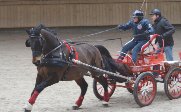 7e édition du concours indoor les 18 et 19 mars : les attelages font sensation à Deauville
