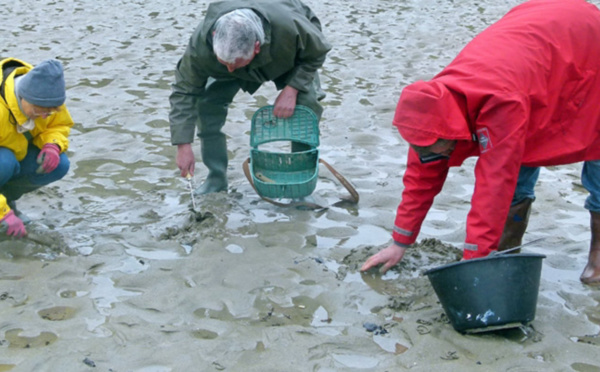 Forts coefficients de marées dès ce mercredi sur le littoral normand : les précautions à prendre 