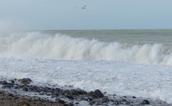Tempête Ciara : avis de forts coups de vents sur la Normandie dès ce week-end