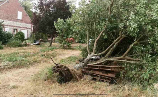 Tempête Ciara : les pompiers sont sortis près de 300 fois en Seine-Maritime et dans l’Eure