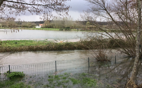 Une vingtaine de communes de l’Eure menacées par un risque de crue de la Seine