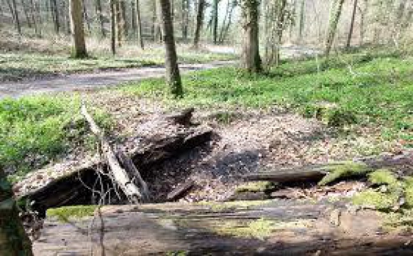 Assassinat d'Alexandre : beaucoup de questions restent en suspens à quelques heures du verdict 