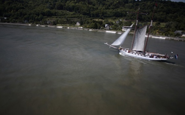 Armada : tous les horaires d'interruption des bacs de Seine dimanche pour le passage des bateaux